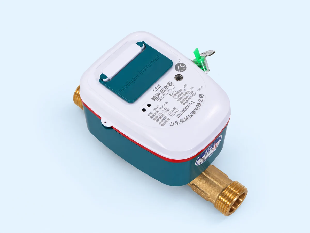 Reading-only Ultrasonic Water Meter