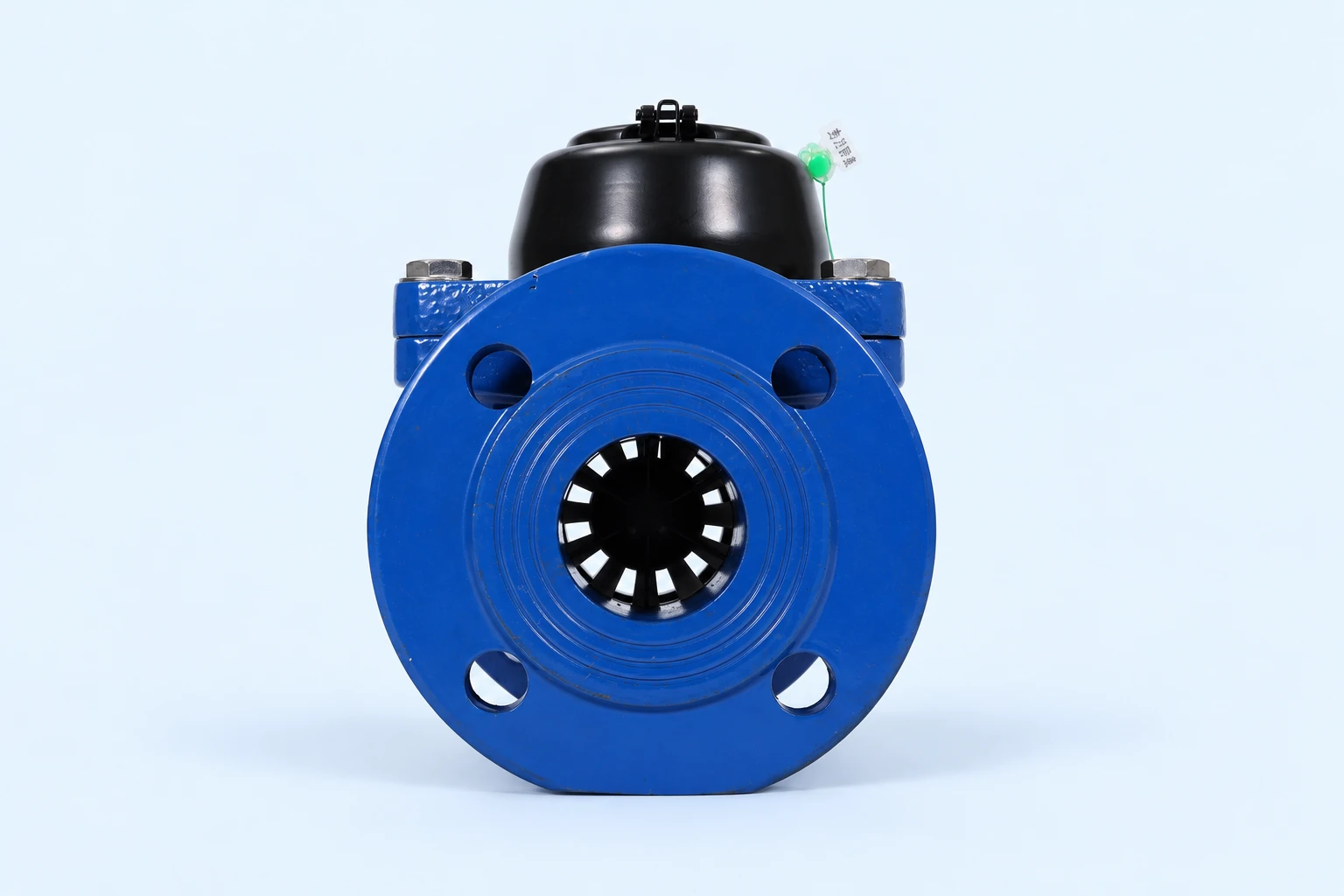 Removable Woltman water meter side photo